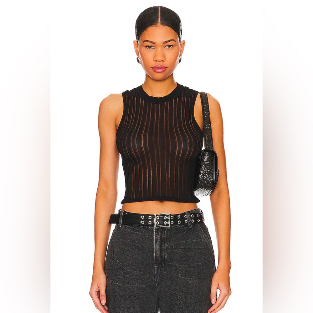 Superdown “Riley” Black Mesh Striped Knit Top